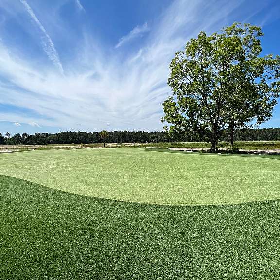 Pine royale synthetic greens