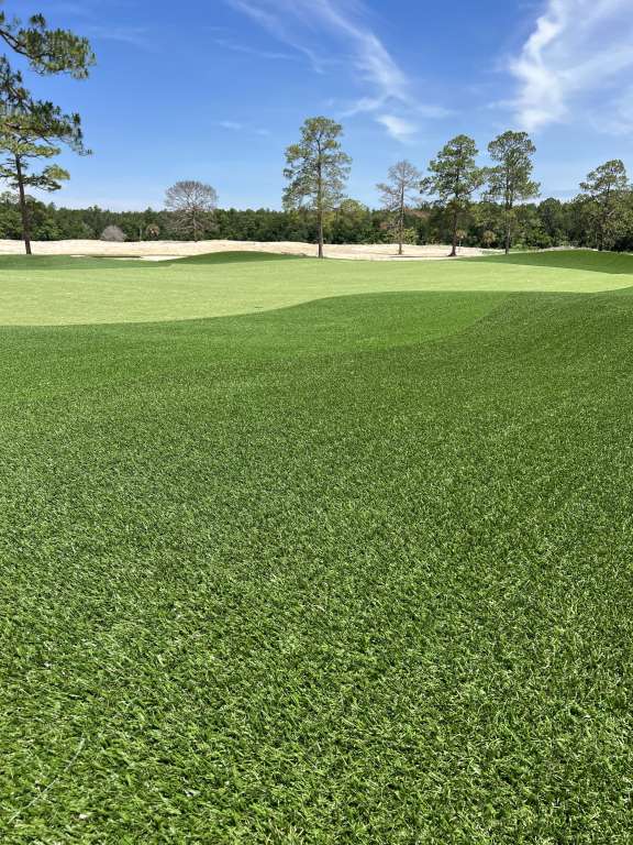 Pine royale synthetic greens turf