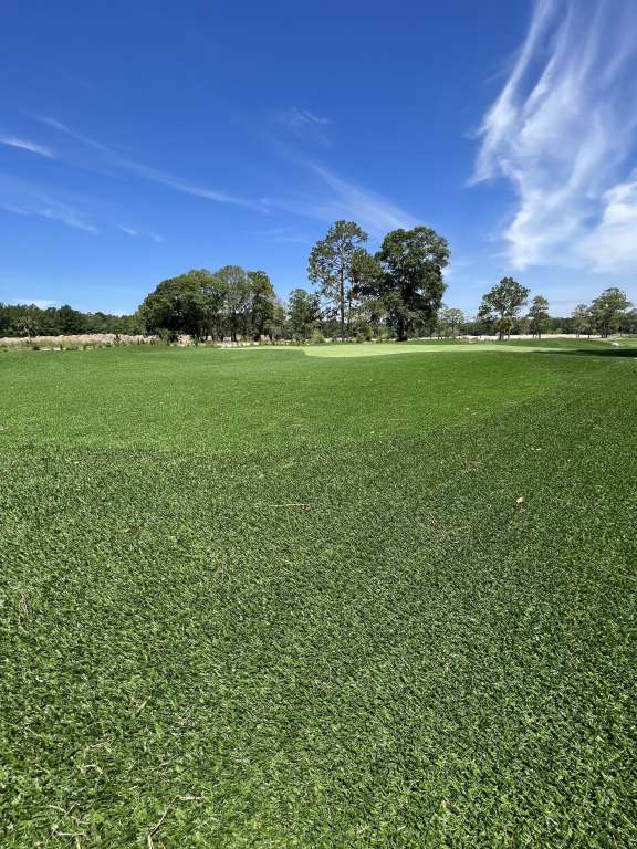 Pine royale turf greens update