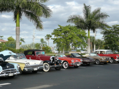 A row of classic 1950s cars parked beneath palm trees
