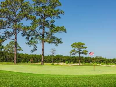 A green on the par 3 course beneath tall pines, a checkered flag in the hole